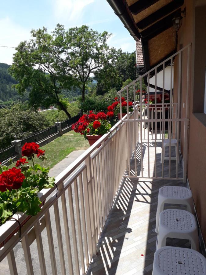 Apartmani Maksimovic Mokra Gora Exteriör bild