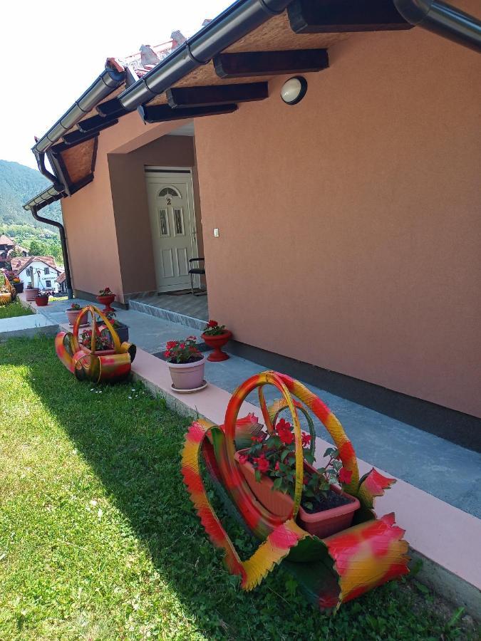Apartmani Maksimovic Mokra Gora Exteriör bild