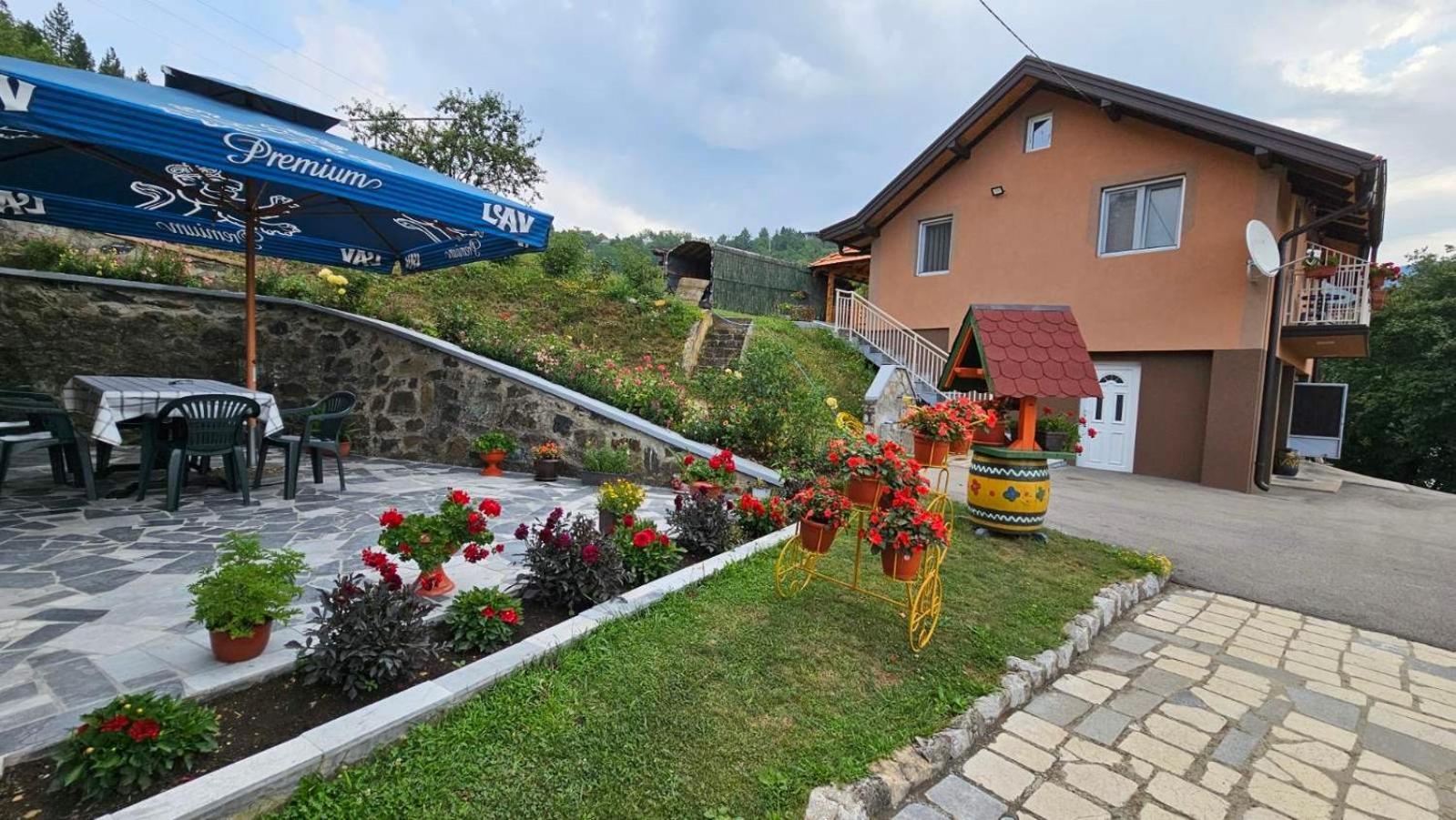 Apartmani Maksimovic Mokra Gora Exteriör bild